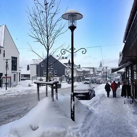 Glucksklee 4 You Wifi - 72 Qm- Nature - Ski - Familiy Apartment Winterberg